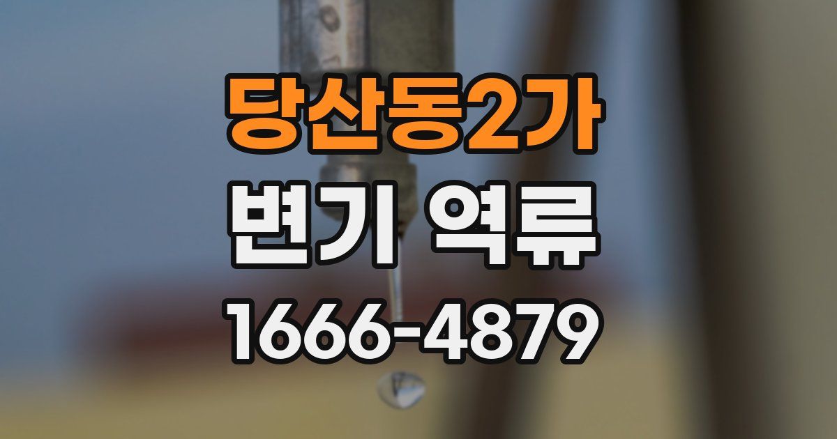 당산동2가 변기 역류