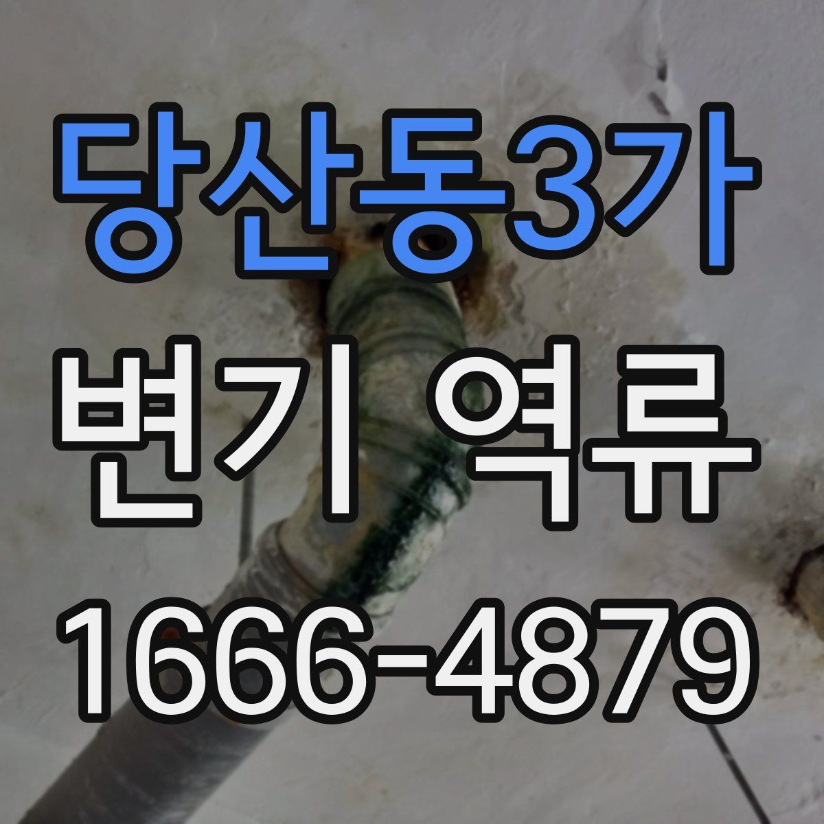 당산동3가 변기 역류
