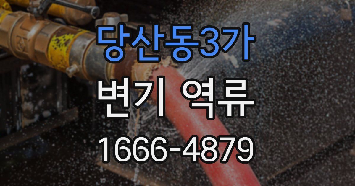 당산동3가 변기 역류