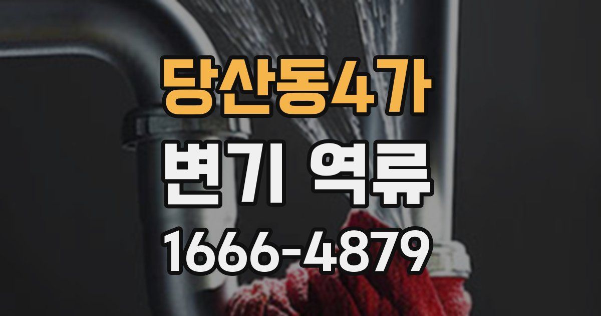 당산동4가 변기 역류