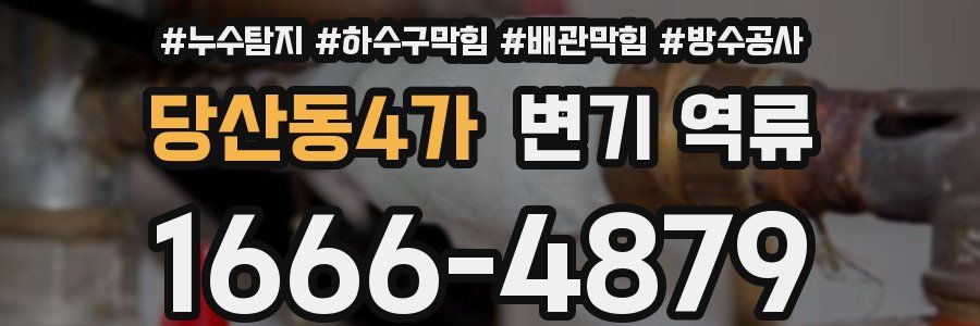 당산동4가 변기 역류