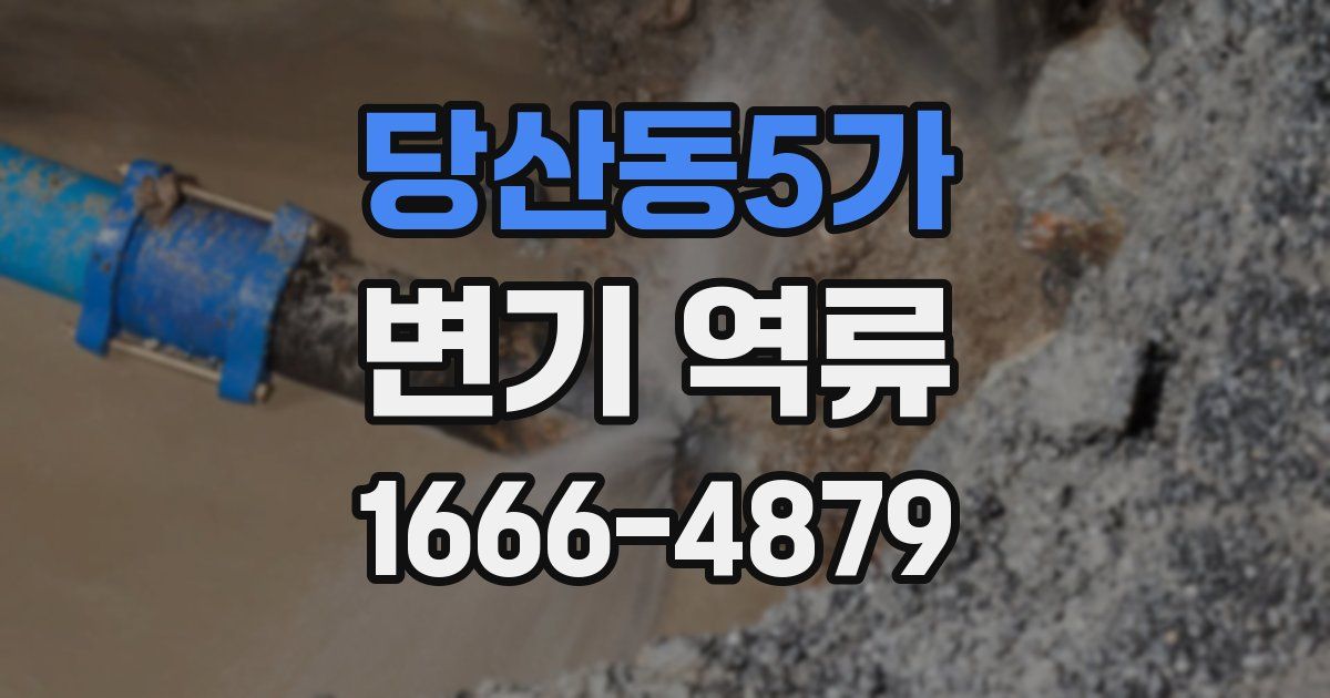 당산동5가 변기 역류