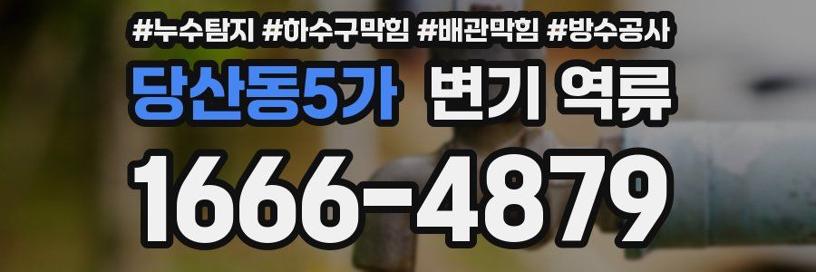 당산동5가 변기 역류