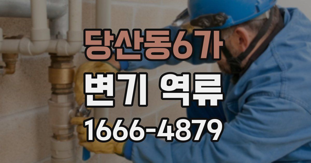 당산동6가 변기 역류