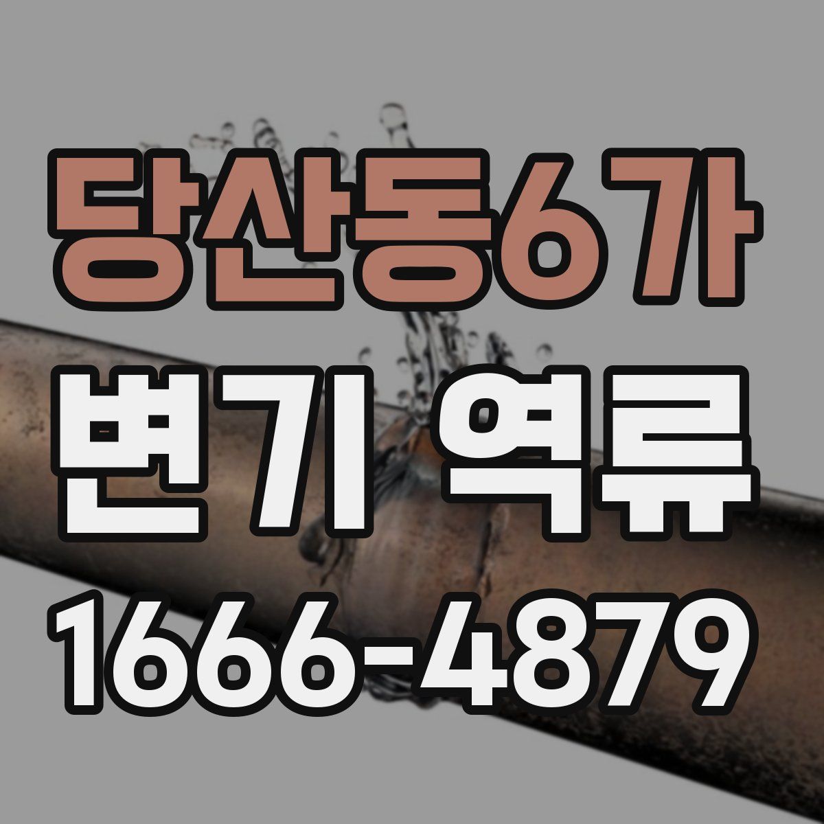 당산동6가 변기 역류