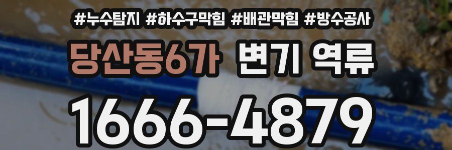 당산동6가 변기 역류