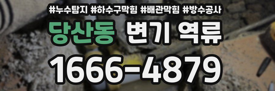 당산동 변기 역류