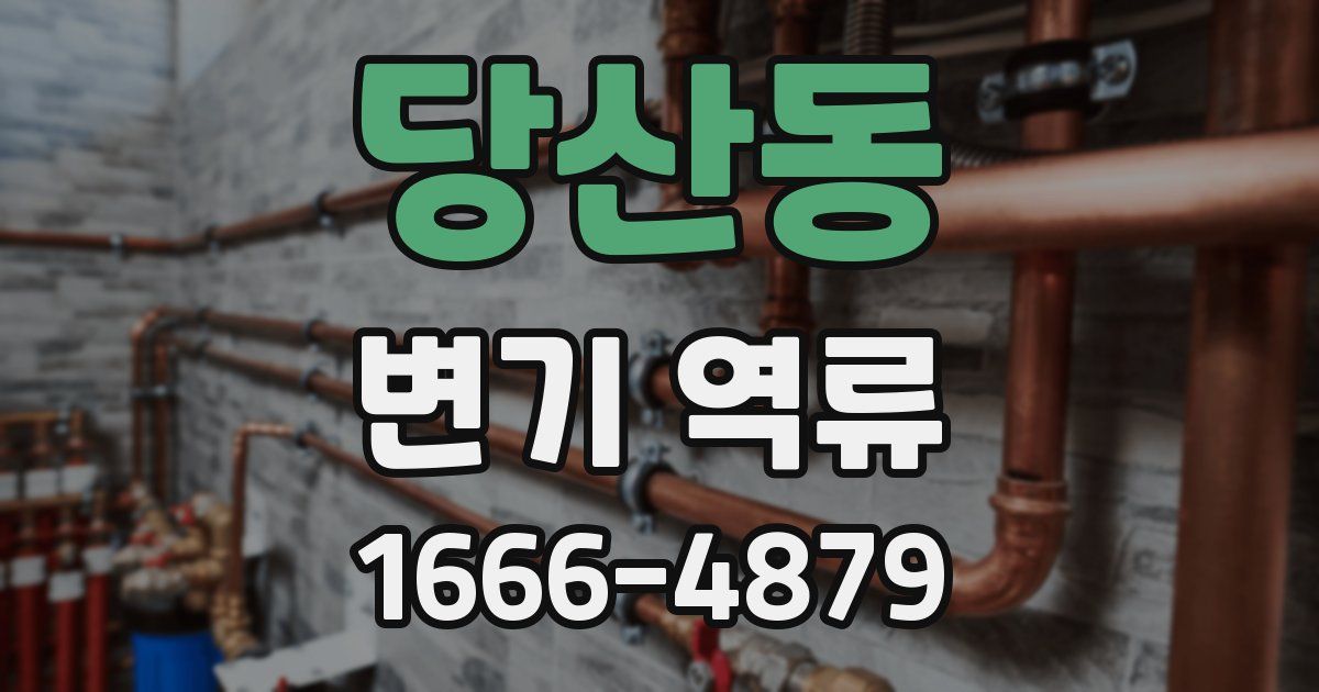 당산동 변기 역류