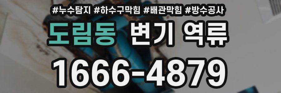 도림동 변기 역류
