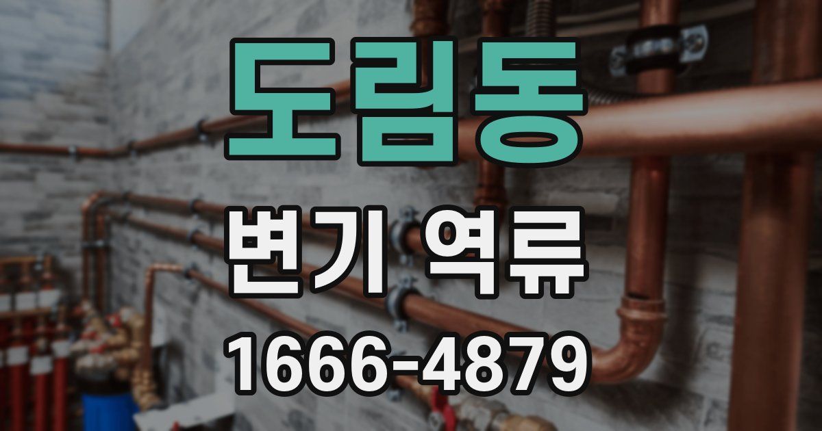 도림동 변기 역류