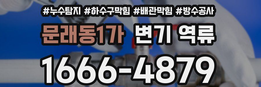 문래동1가 변기 역류