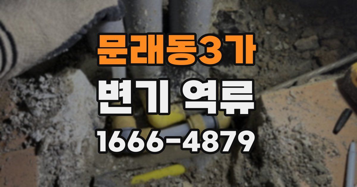 문래동3가 변기 역류
