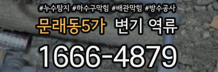 문래동5가 변기 역류