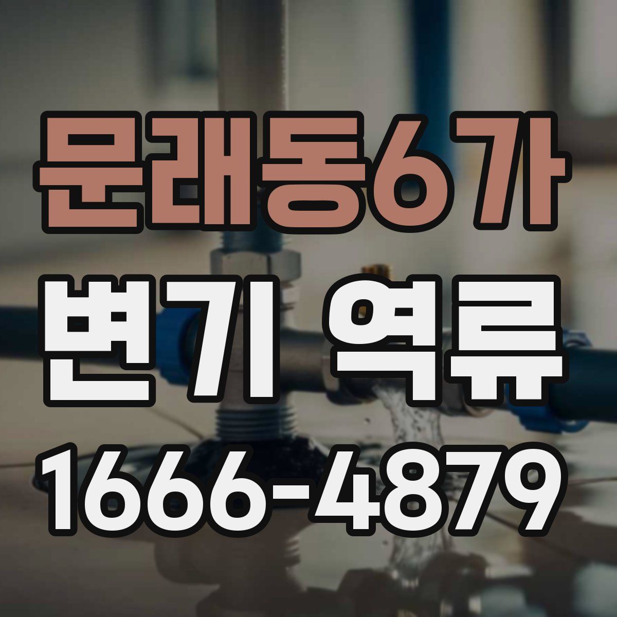 문래동6가 변기 역류