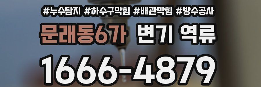 문래동6가 변기 역류