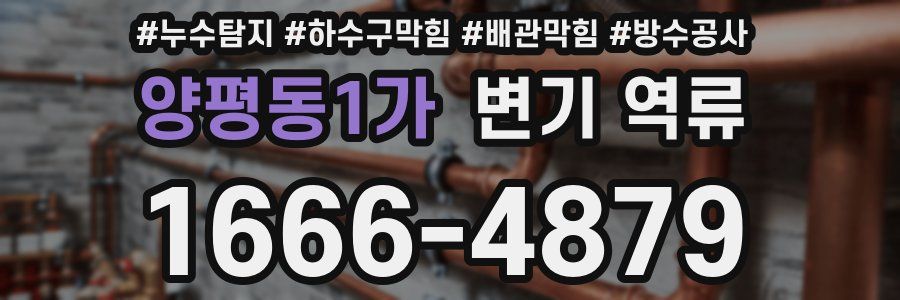양평동1가 변기 역류