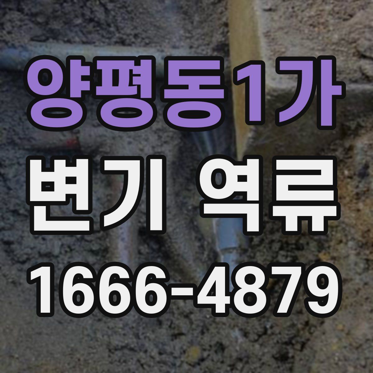 양평동1가 변기 역류