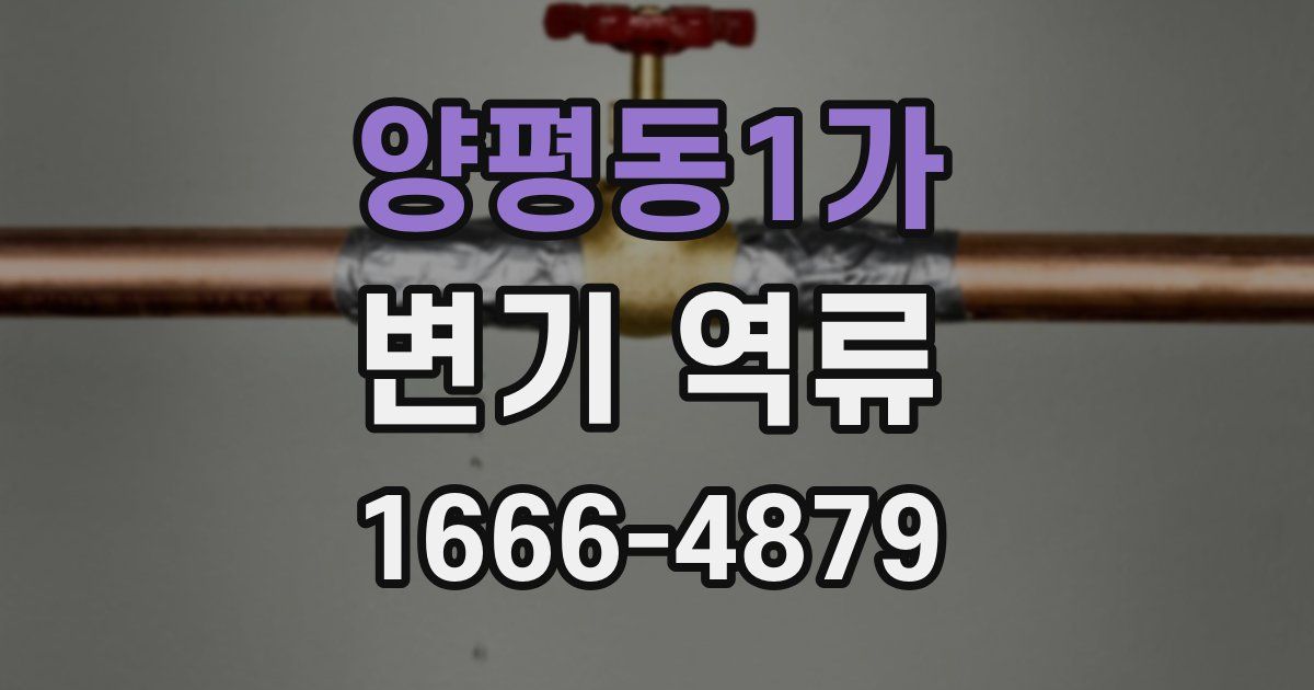 양평동1가 변기 역류