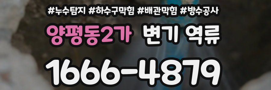 양평동2가 변기 역류