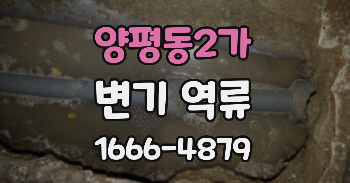 양평동2가 변기 역류