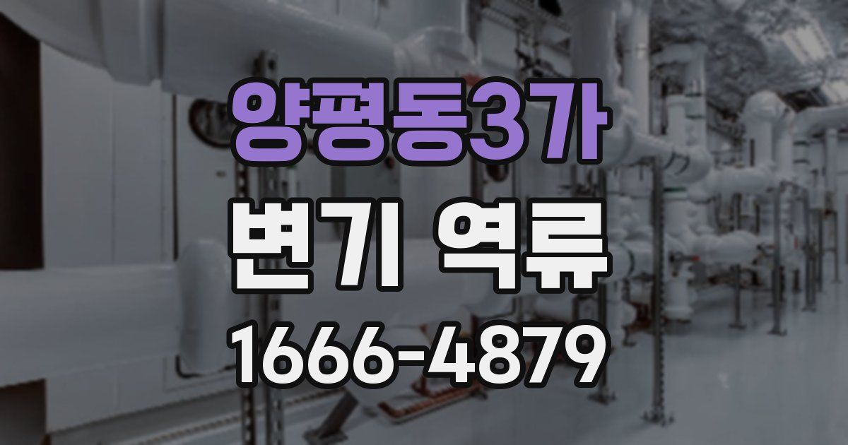 양평동3가 변기 역류