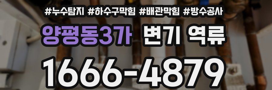 양평동3가 변기 역류