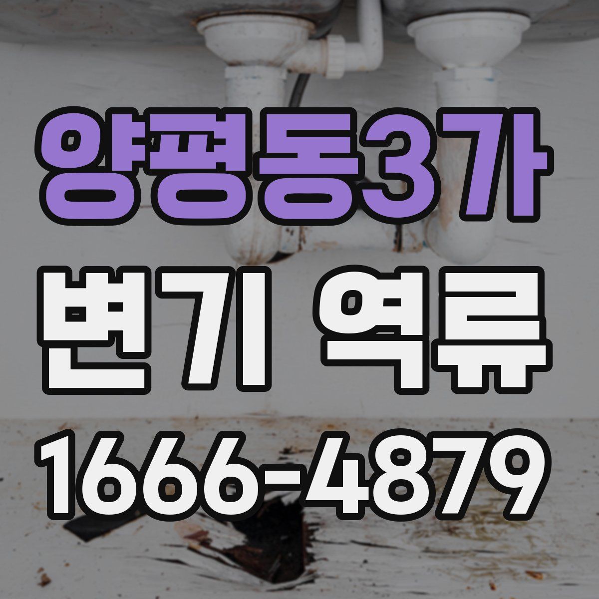 양평동3가 변기 역류