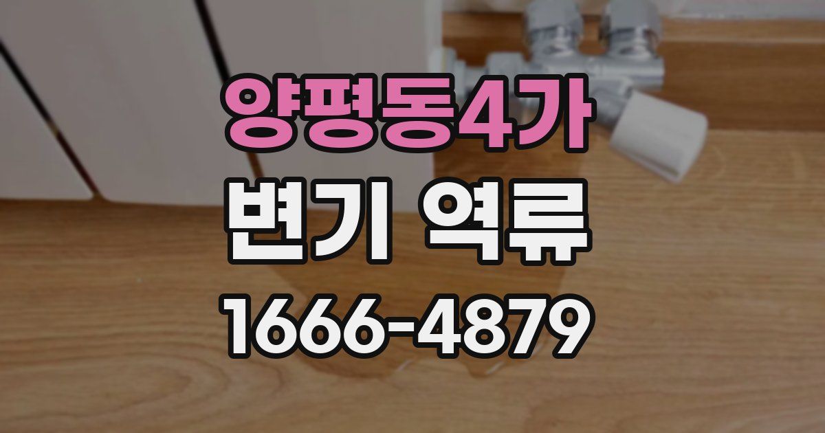 양평동4가 변기 역류