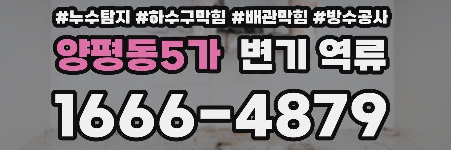 양평동5가 변기 역류
