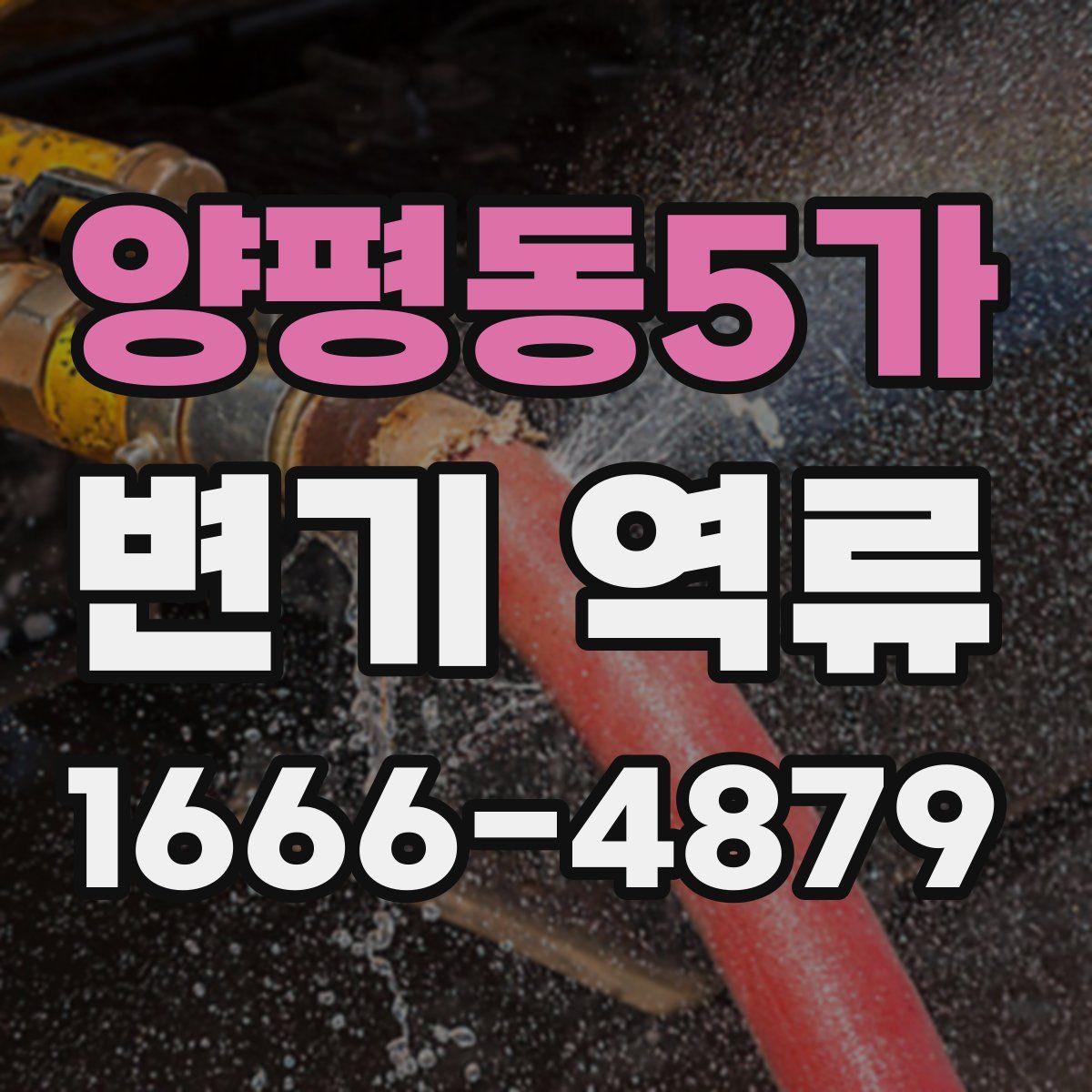 양평동5가 변기 역류
