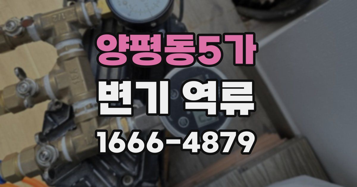 양평동5가 변기 역류