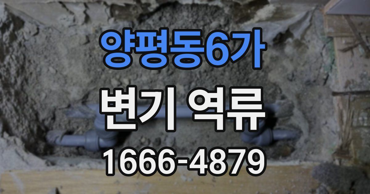 양평동6가 변기 역류