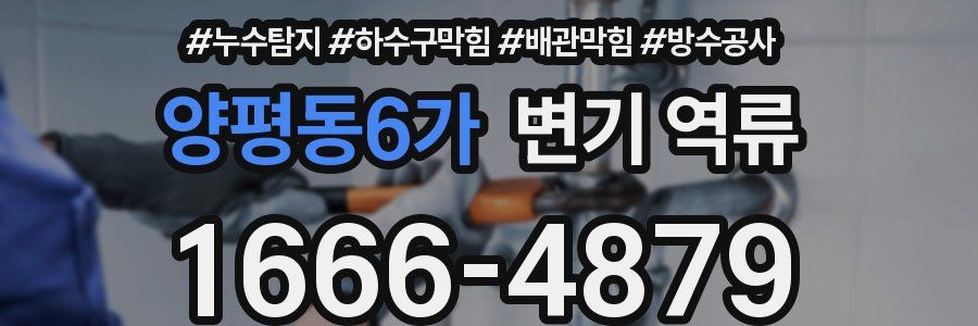양평동6가 변기 역류