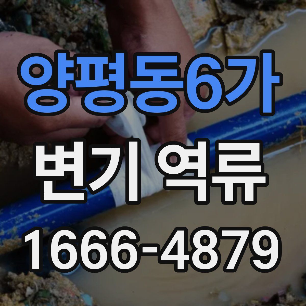 양평동6가 변기 역류