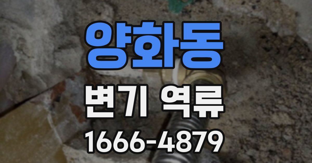 양화동 변기 역류