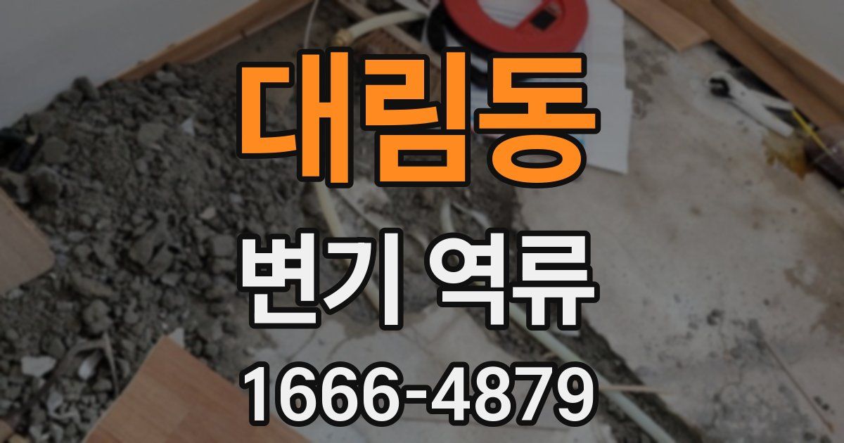 대림동 변기 역류