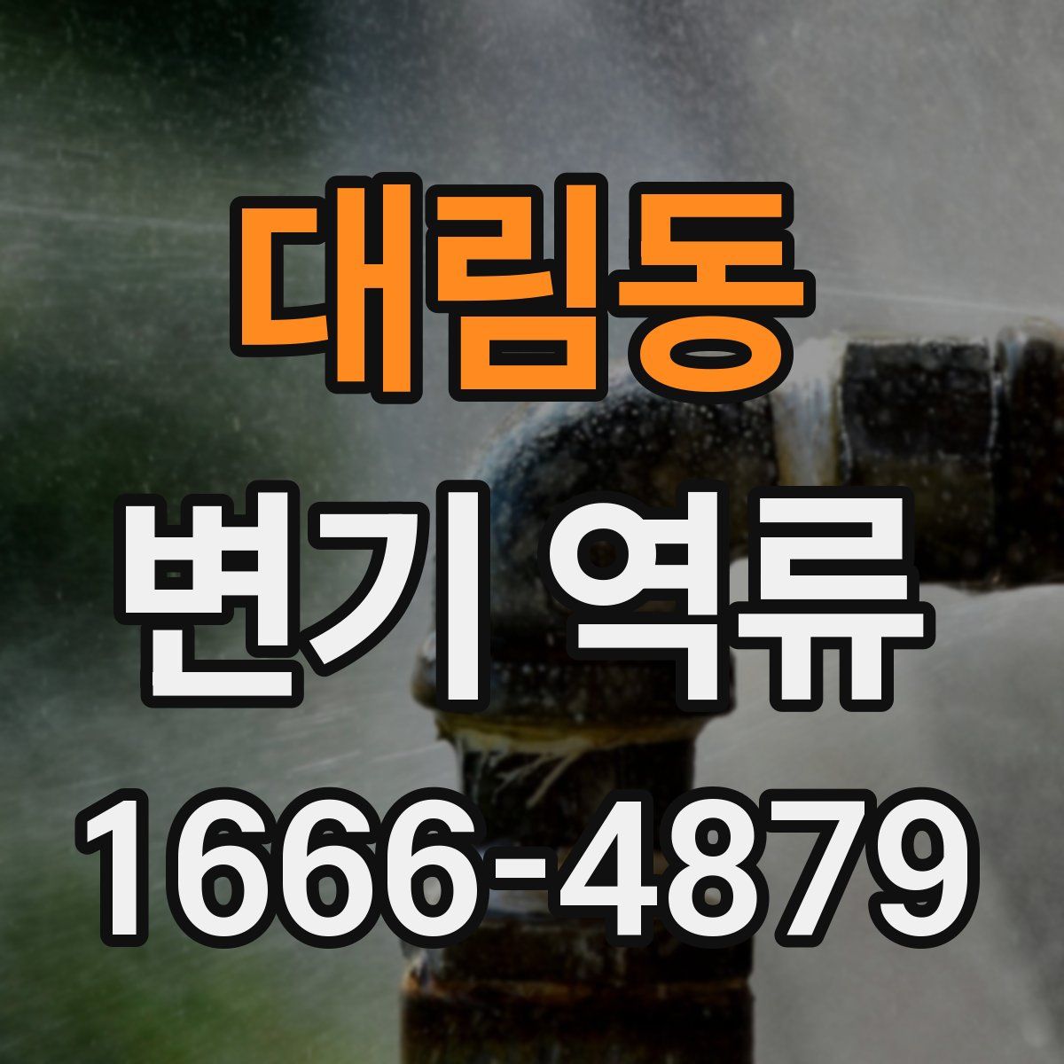 대림동 변기 역류