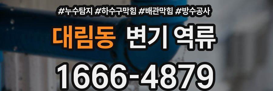 대림동 변기 역류