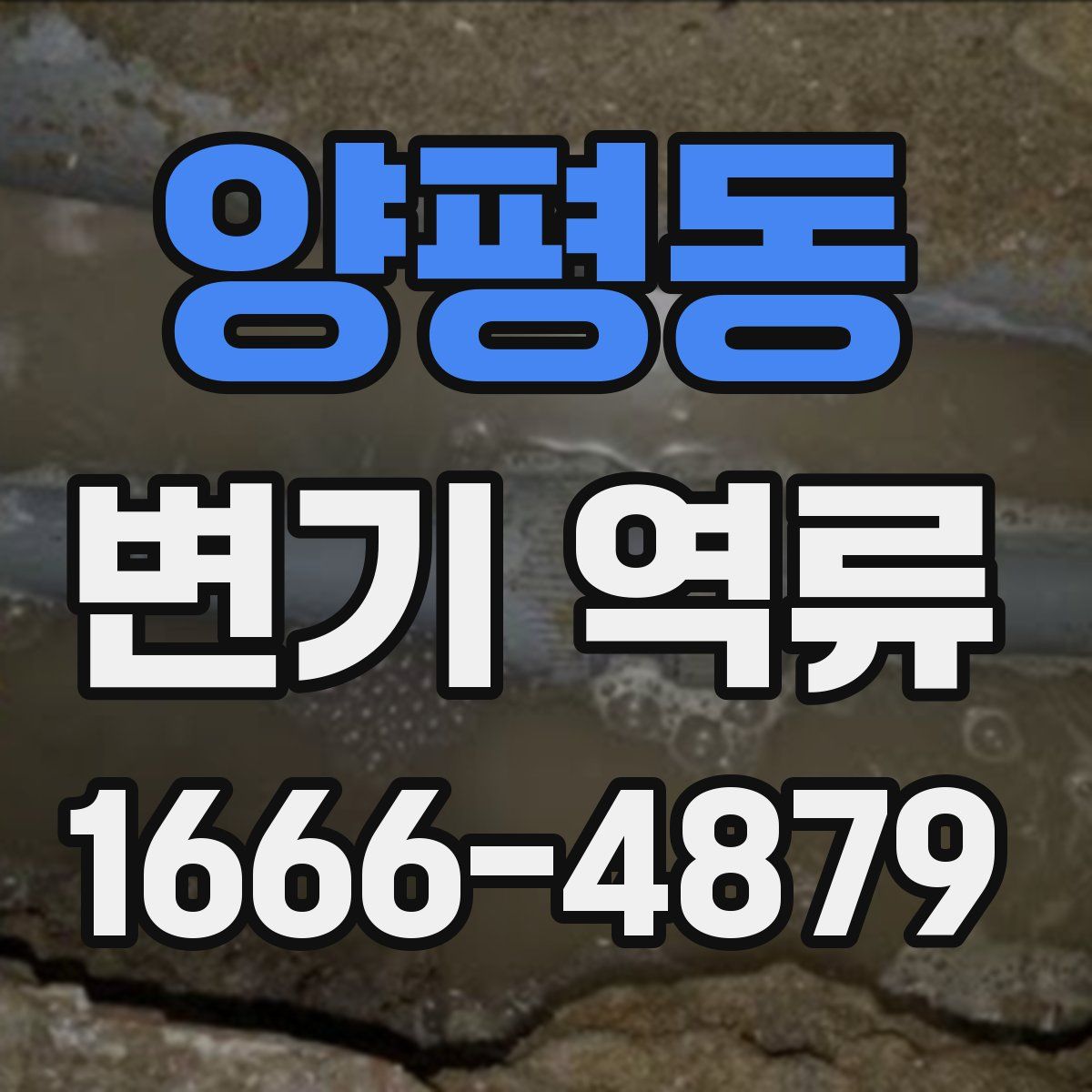 양평동 변기 역류