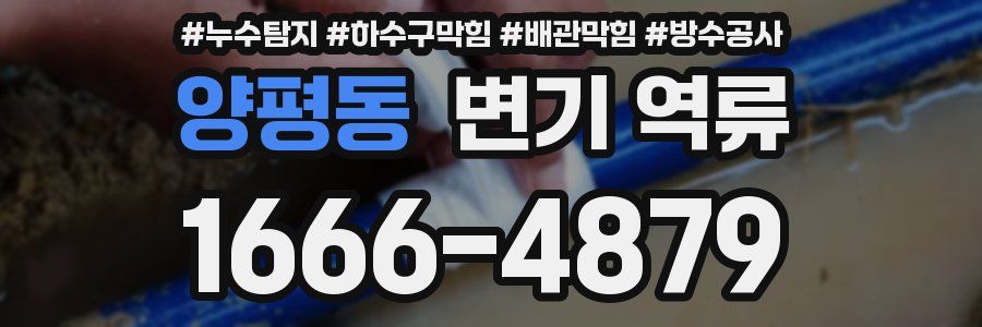 양평동 변기 역류