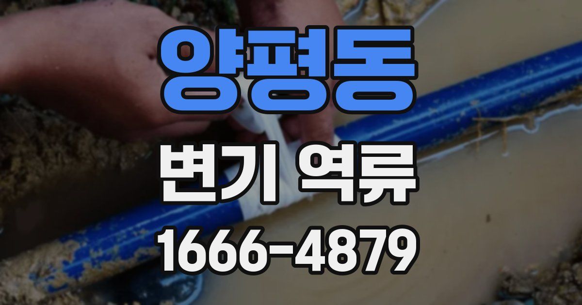 양평동 변기 역류