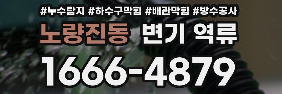 노량진동 변기 역류