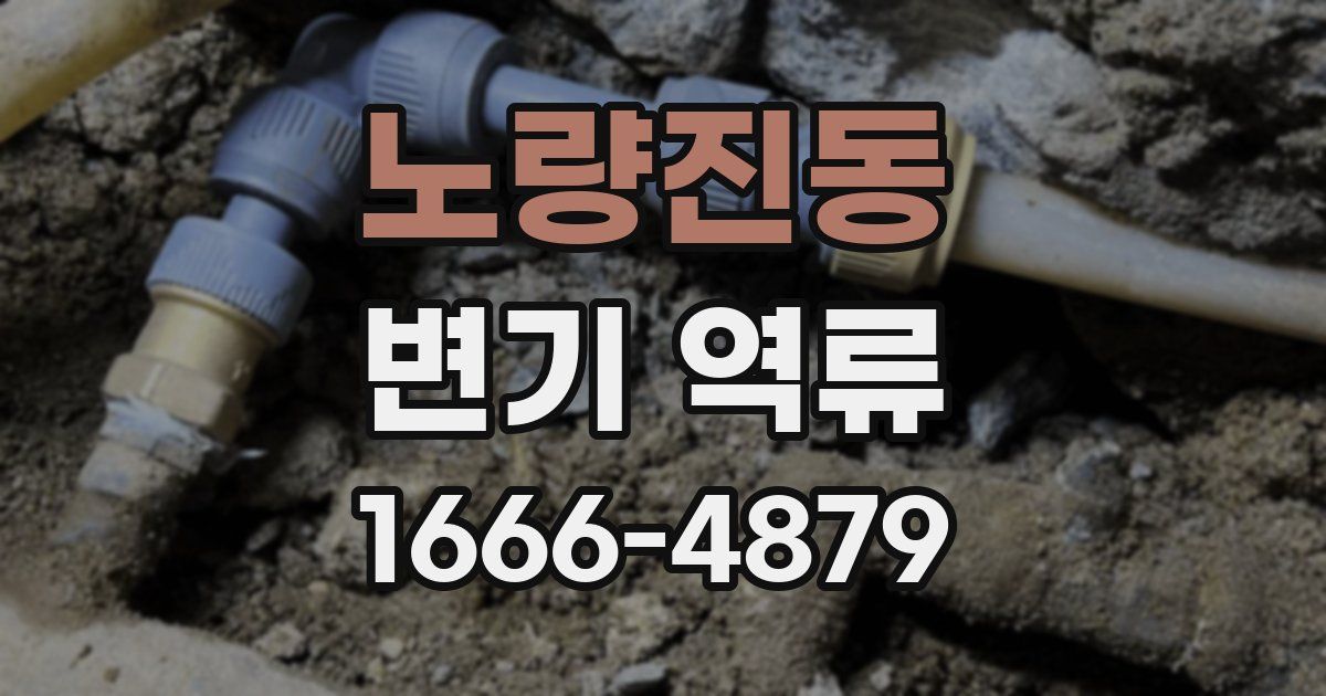노량진동 변기 역류