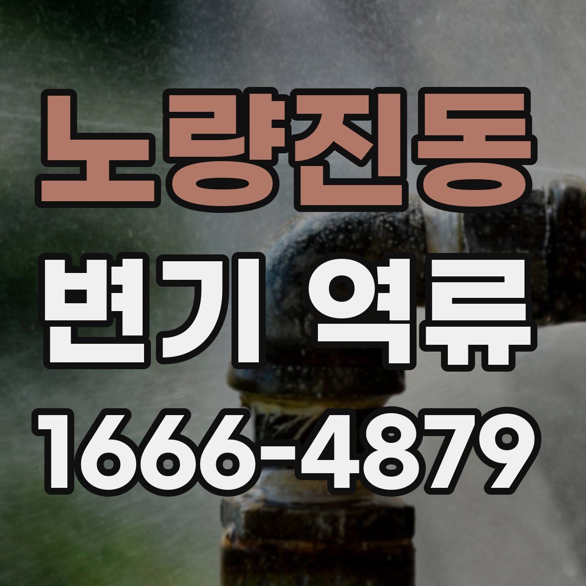노량진동 변기 역류