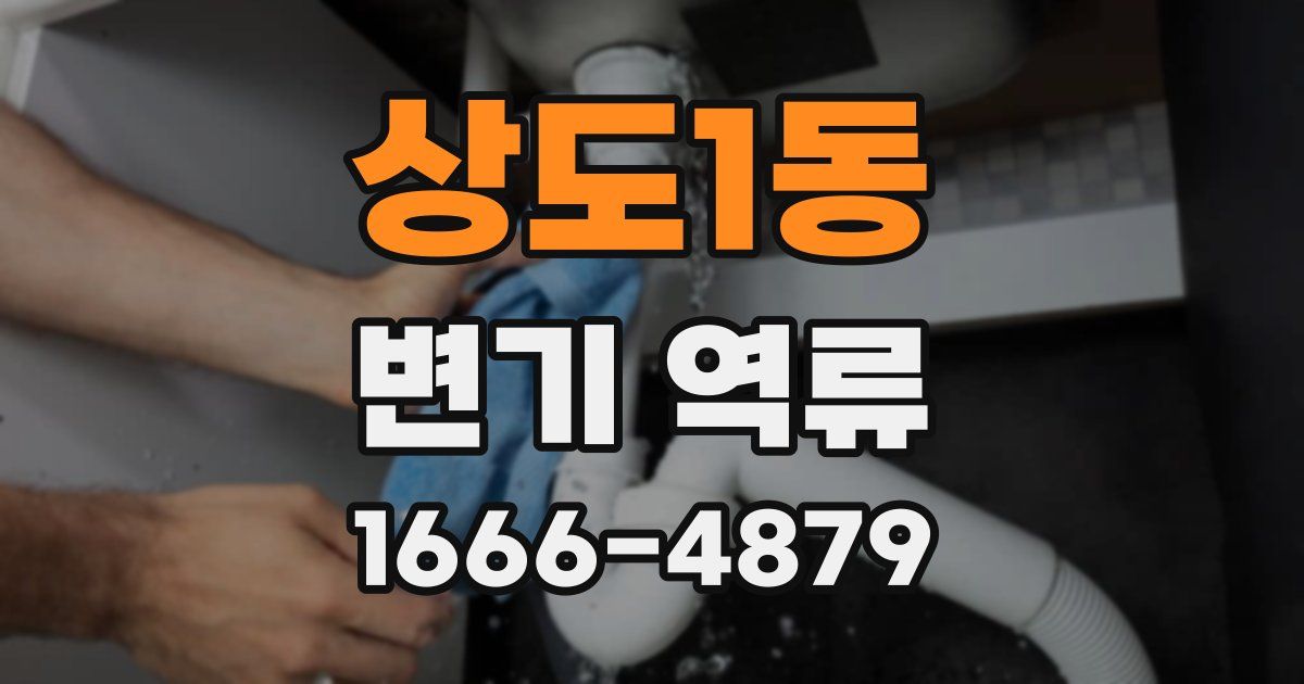상도1동 변기 역류