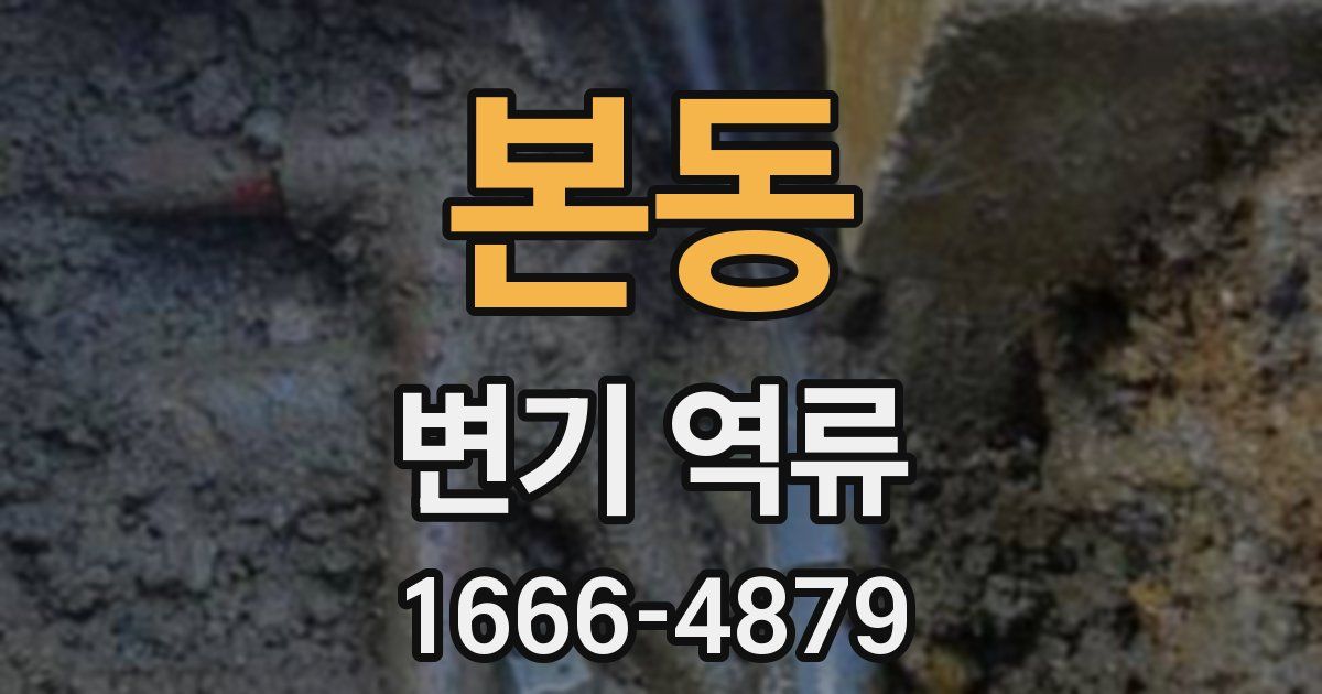 본동 변기 역류