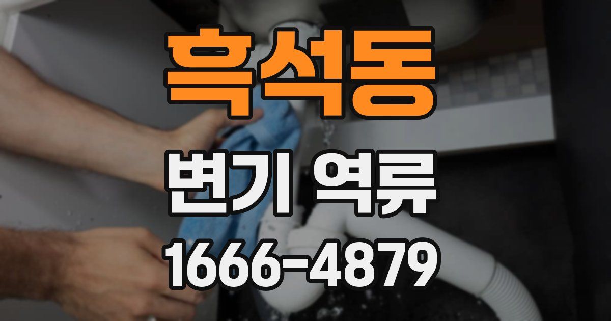 흑석동 변기 역류