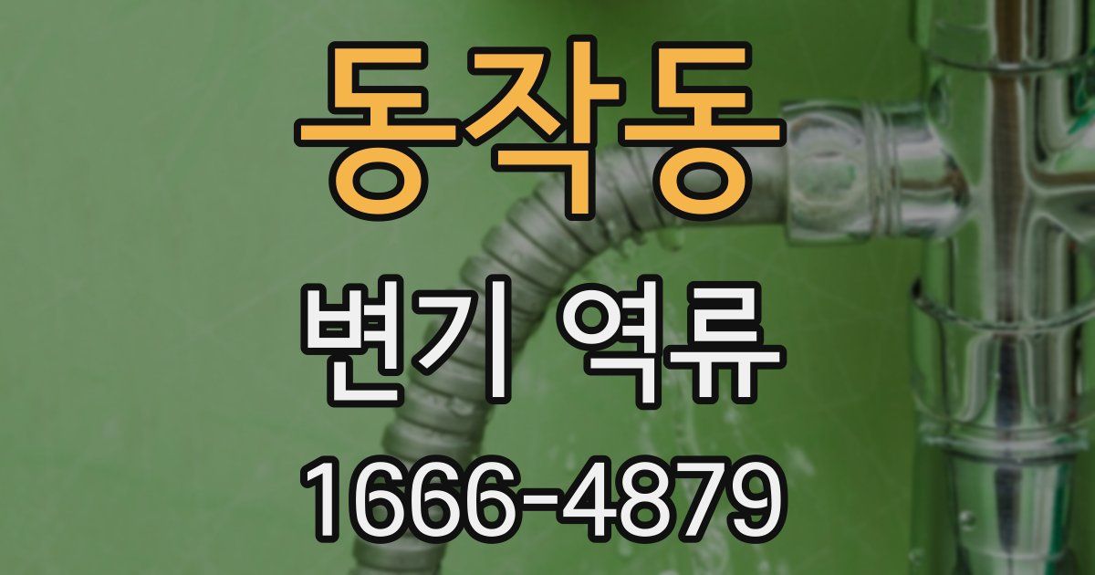 동작동 변기 역류