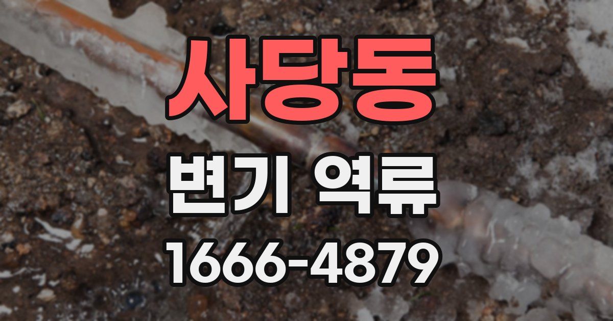 사당동 변기 역류