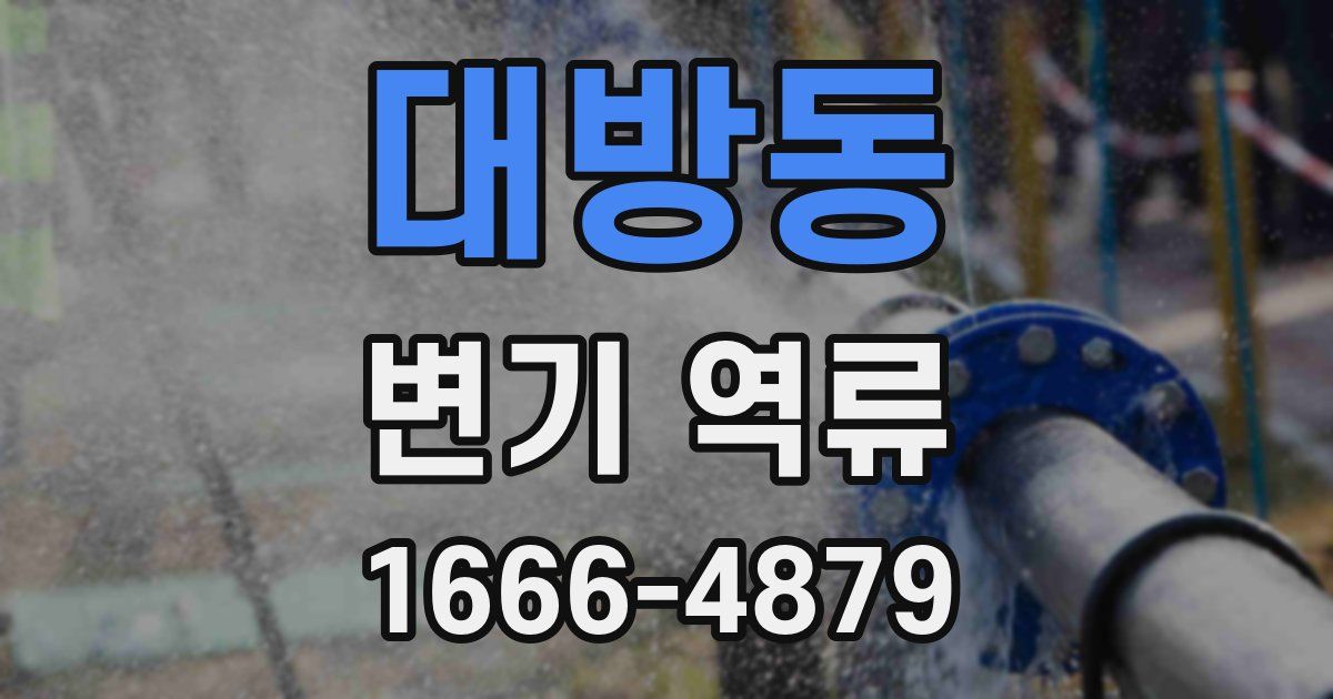 대방동 변기 역류